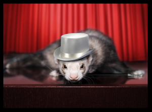 SuperAgent is light-weight progressive ajax API crafted for flexibility, readability, and a low learning curve after being frustrated with many of the existing request APIs.